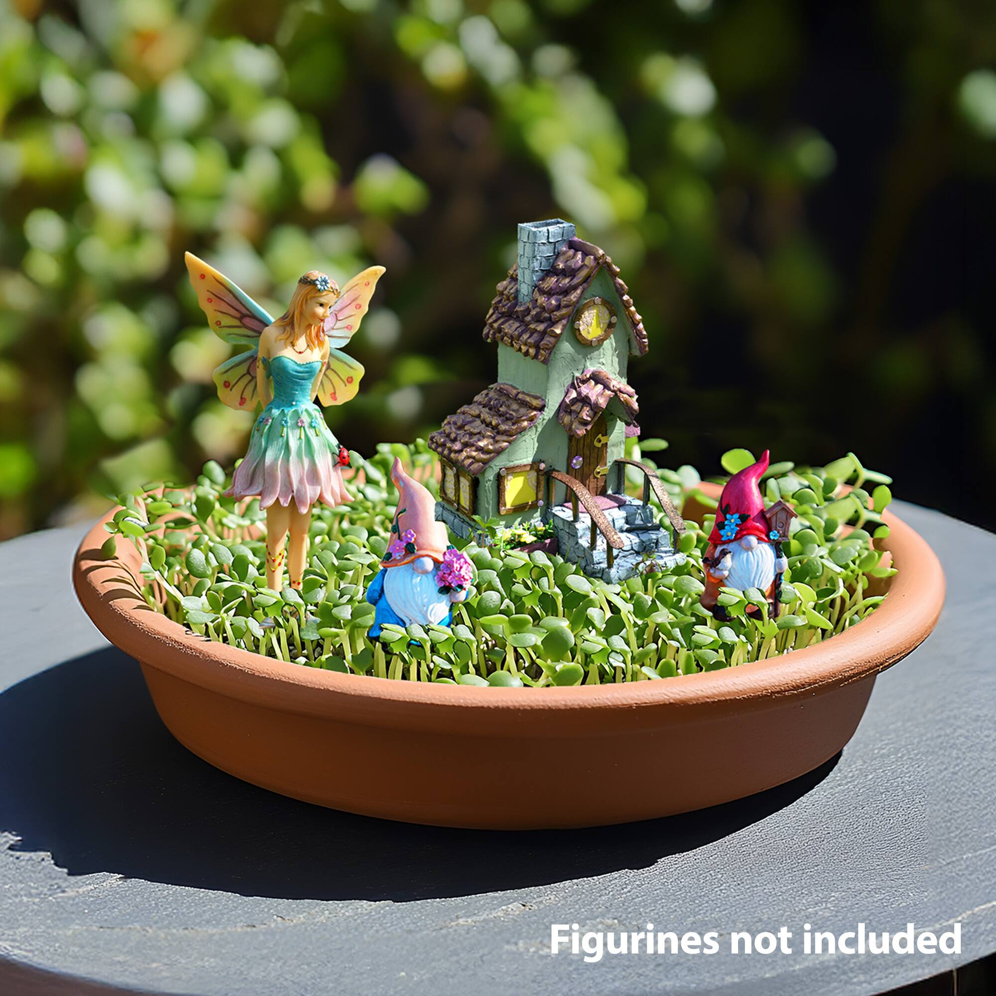Buzzy® Chia Fairy Garden Complete Grow Kit